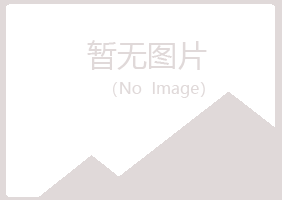 宁夏山柳采矿有限公司